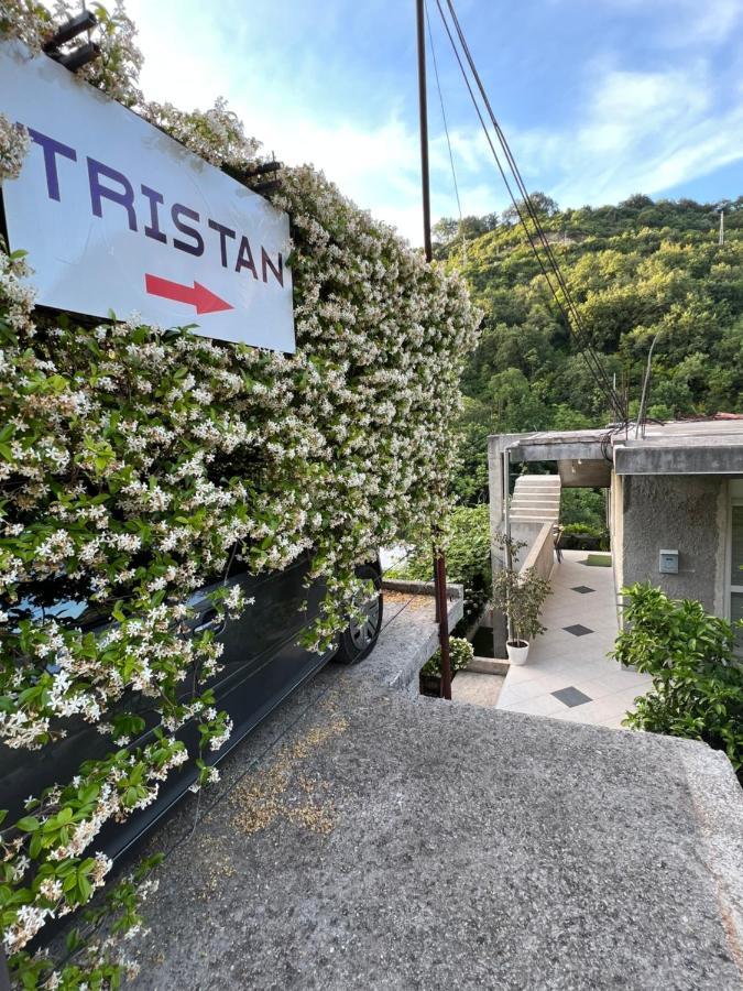 Apartman Tristan Херцег-Новий Екстер'єр фото