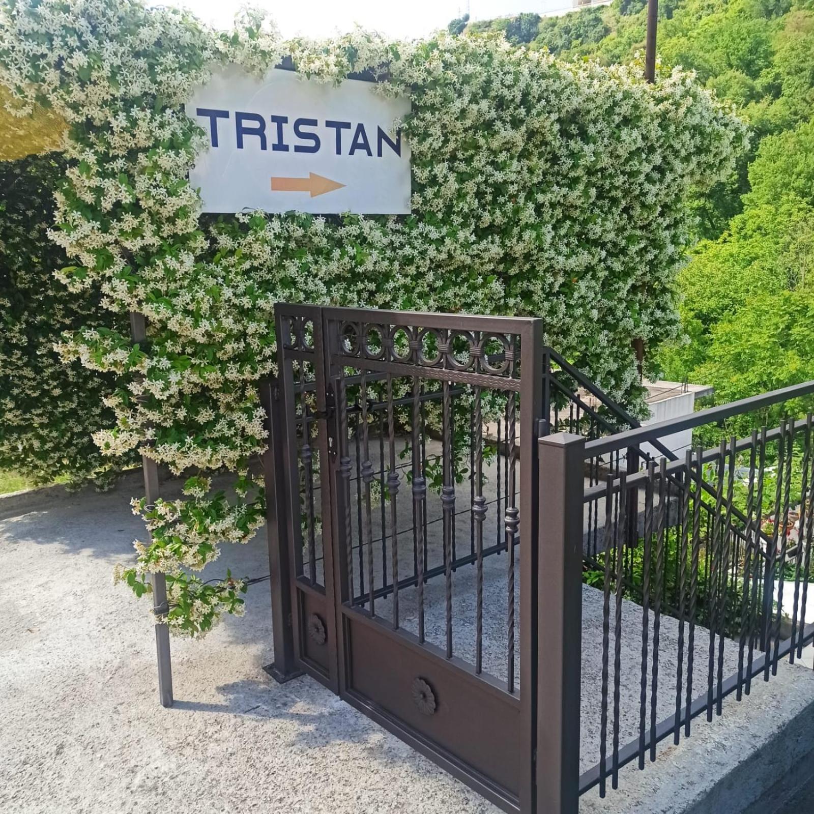 Apartman Tristan Херцег-Новий Екстер'єр фото